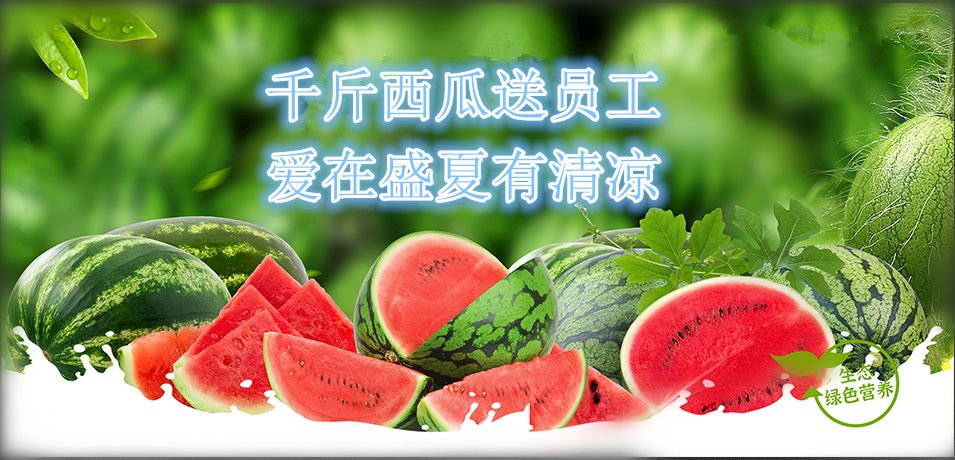 通達(dá)軟件公司： 千斤西瓜送員工，愛在盛夏有清涼